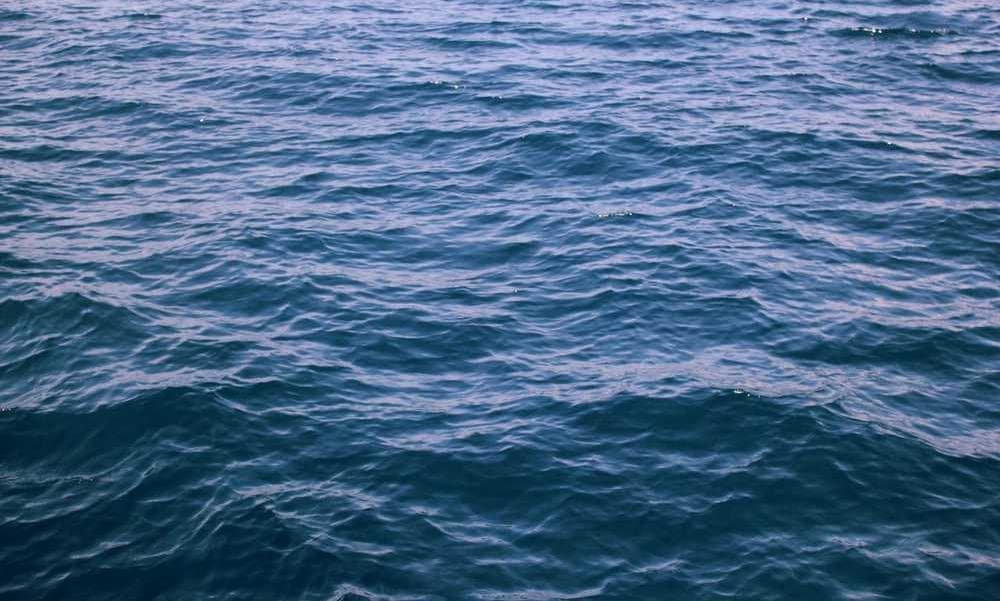 Mountain cabin in Aspen